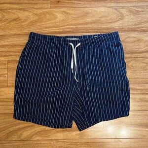 PacSun Blue Striped Volley Shorts - Size Large